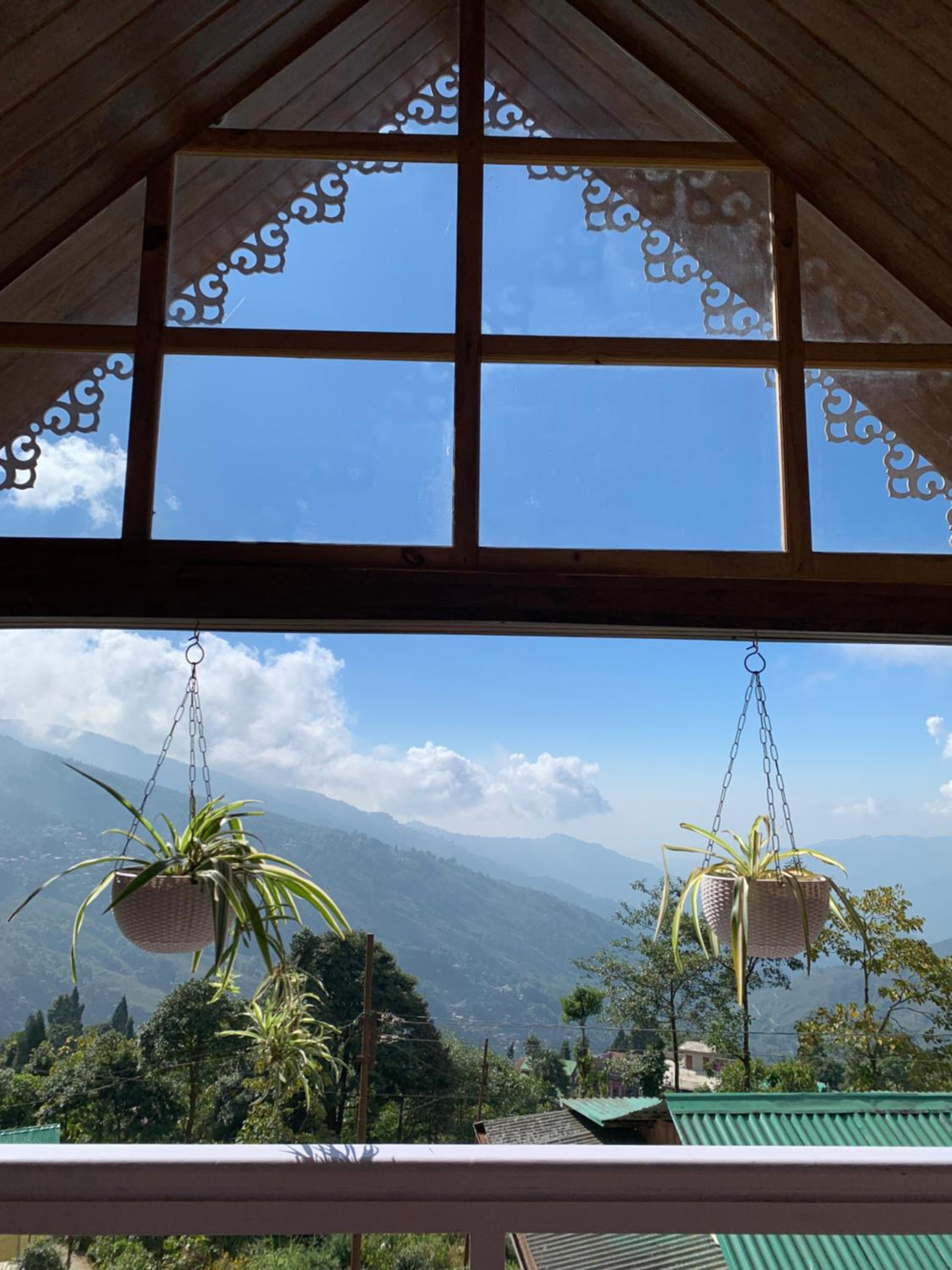 Pine Forest Retreat view 4