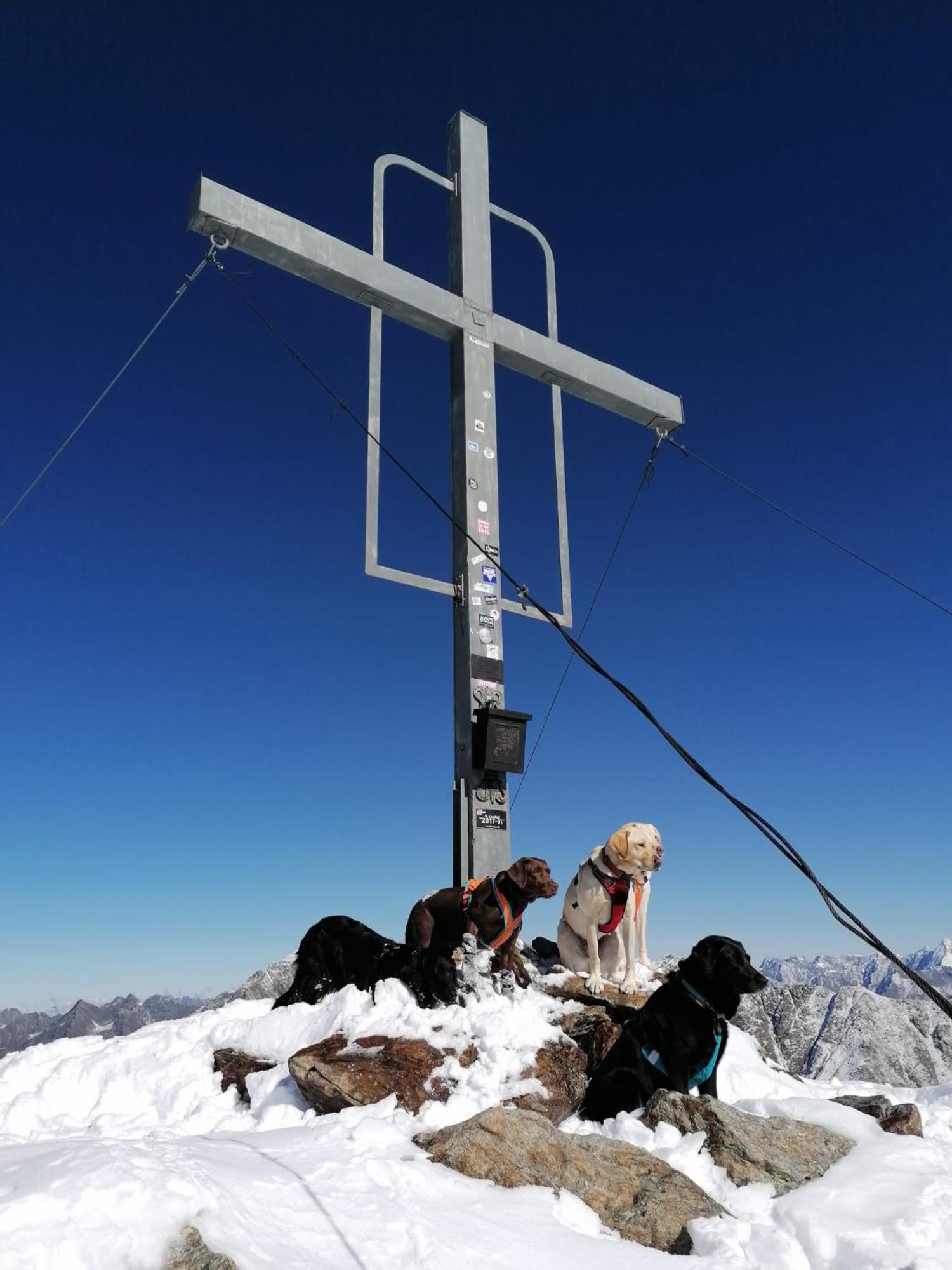 Pension Alpin