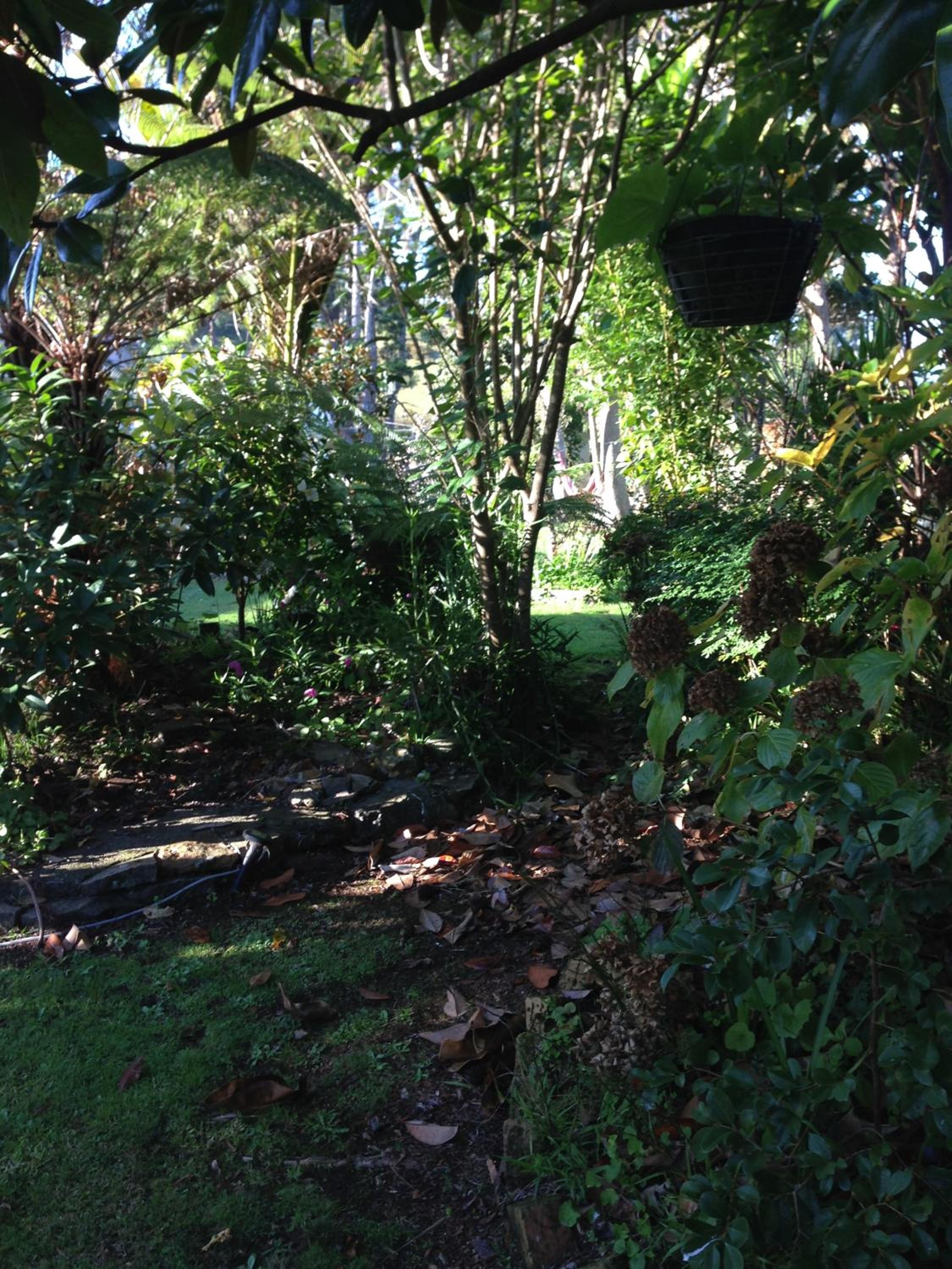 Photo 26