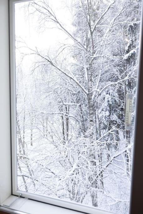 30m2 studio - 500m from train station to Airport and Helsinki city centre view 5