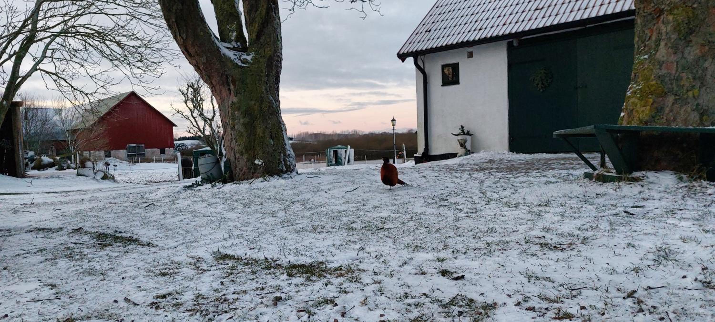 Lantligt och lugnt boende nära natur och stad