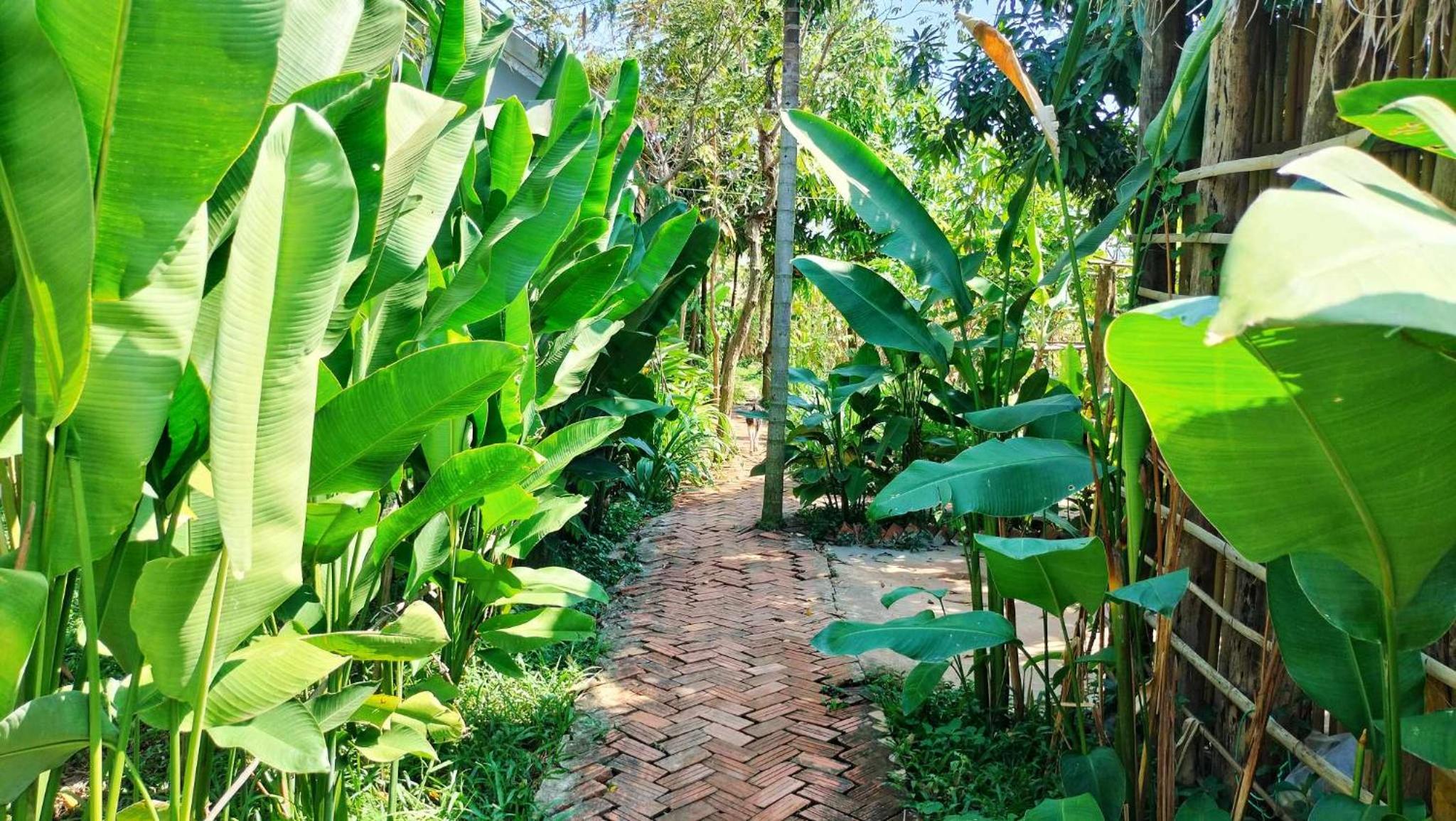 Urban Farmhouse