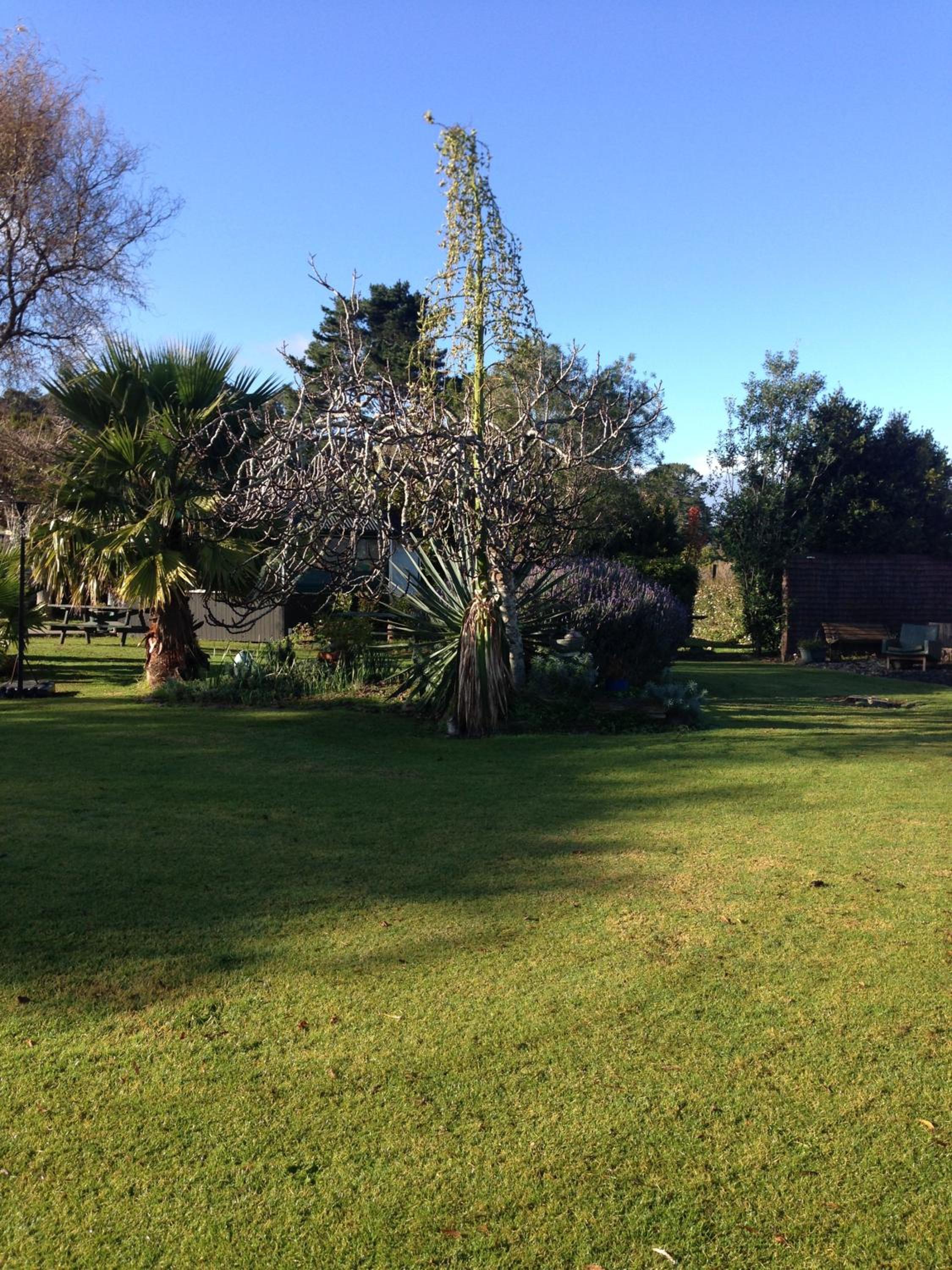 Photo 25