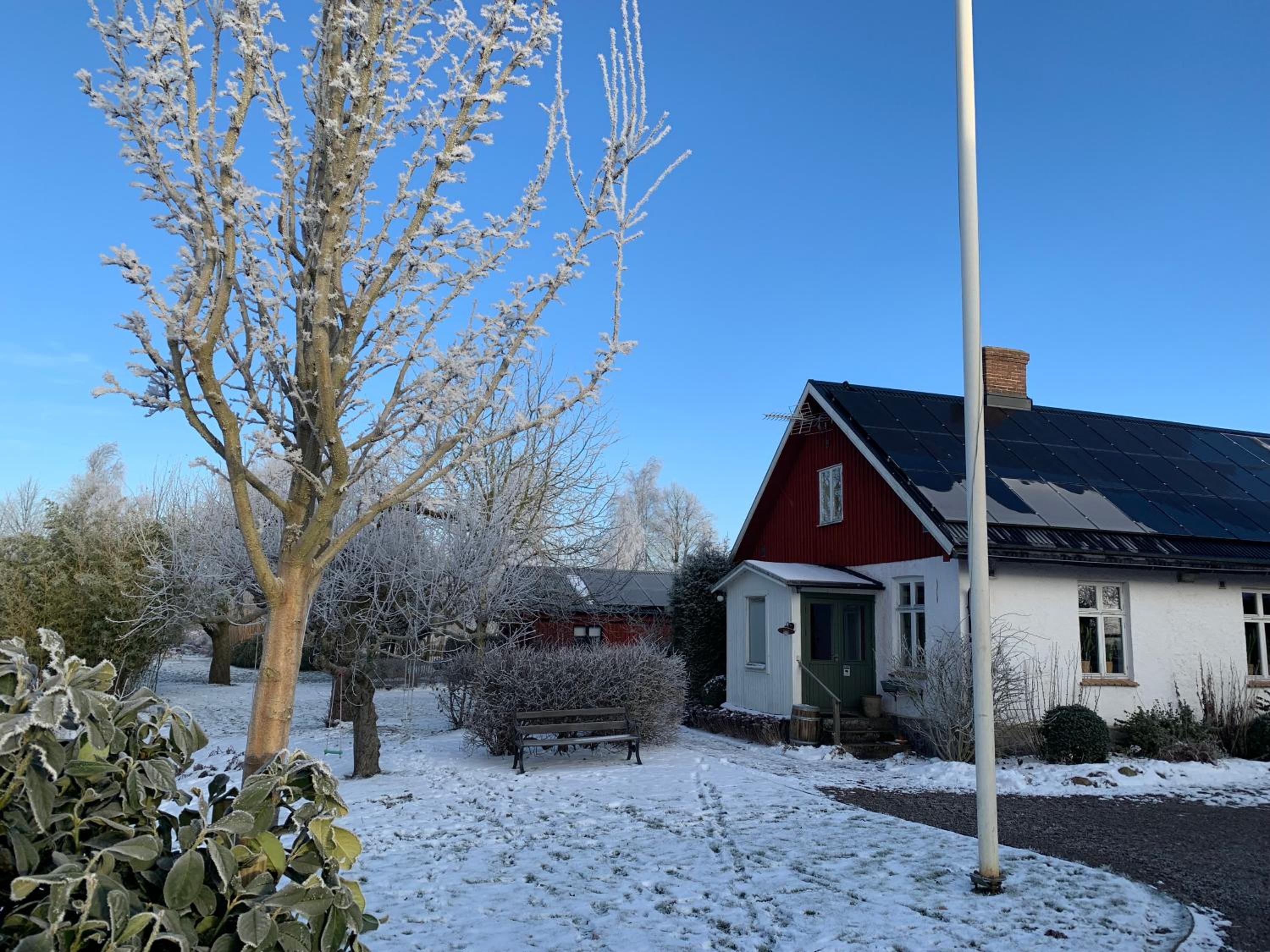 Villa Maria Garden Cottages, Helsingborg view 3