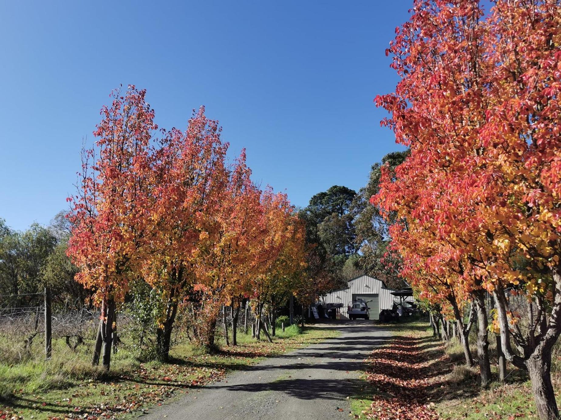 Gypsy Creek Retreat