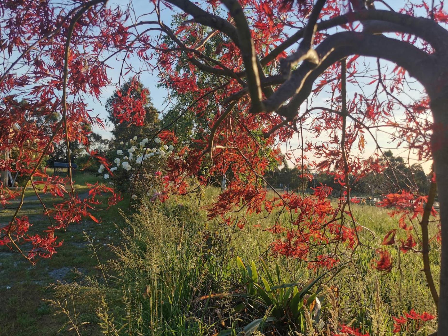 Gypsy Creek Retreat