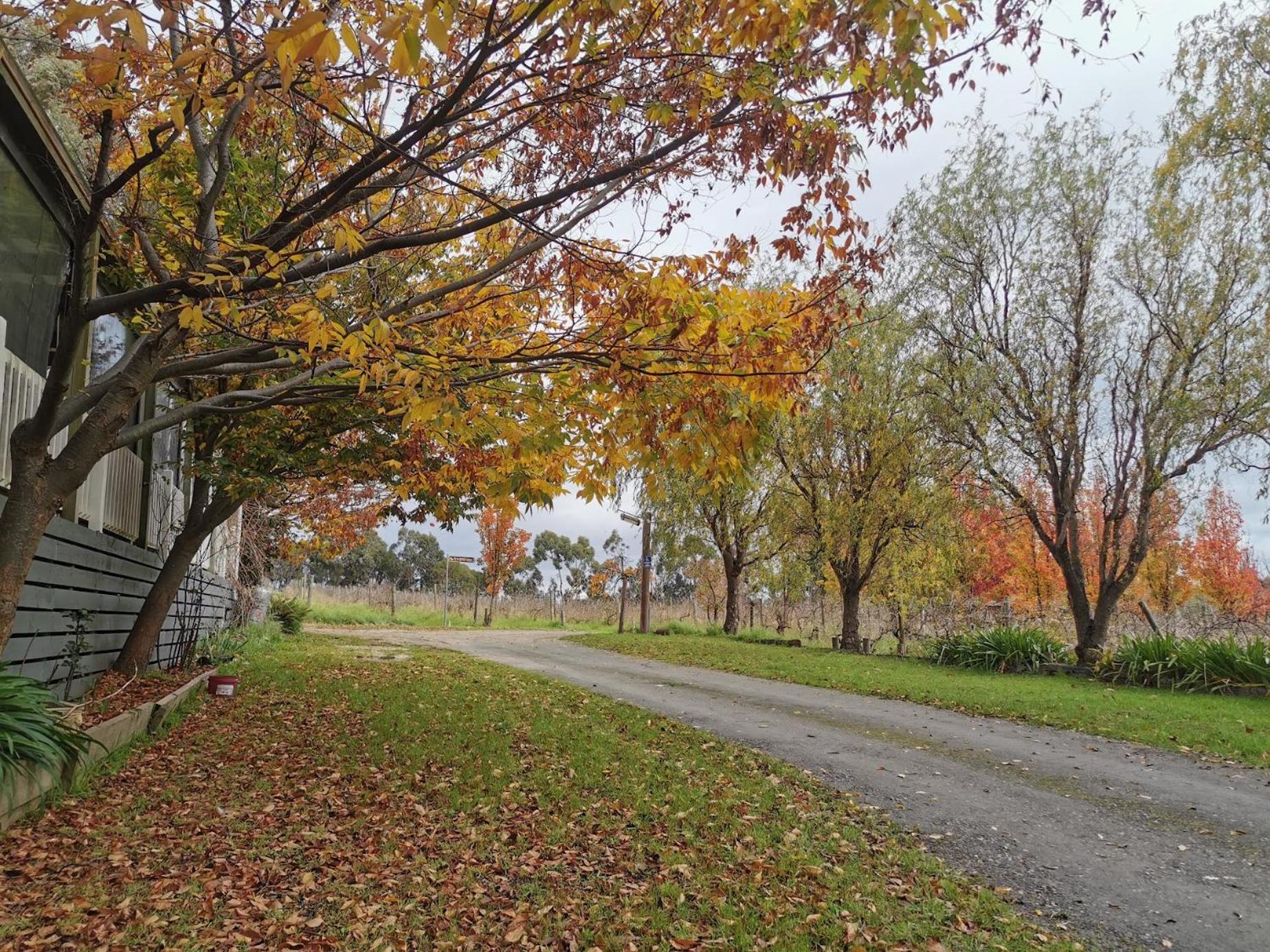 Gypsy Creek Retreat