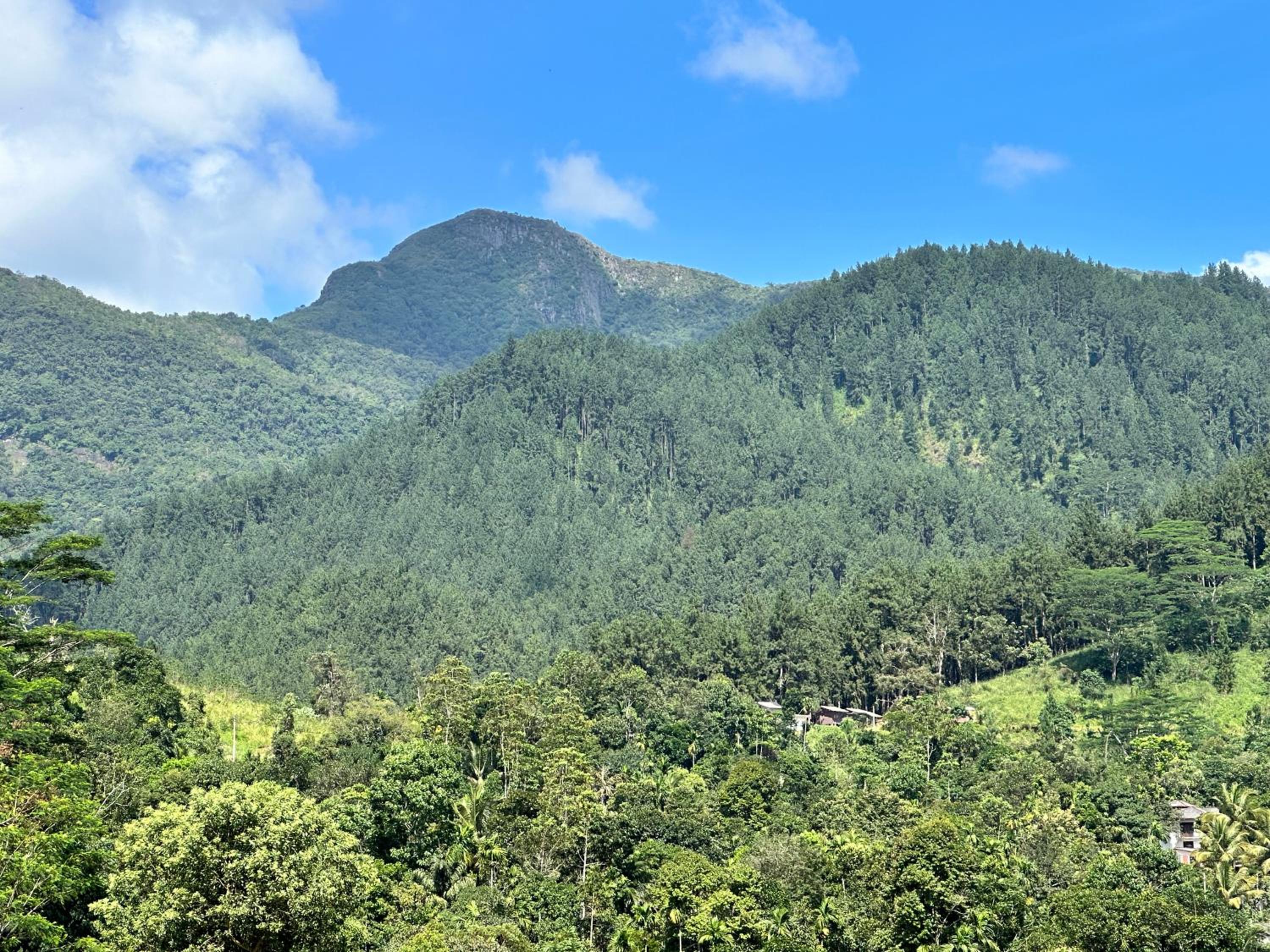 The Kandyan Secret Villa - Free Pick up From Kandy Railway Station view 4