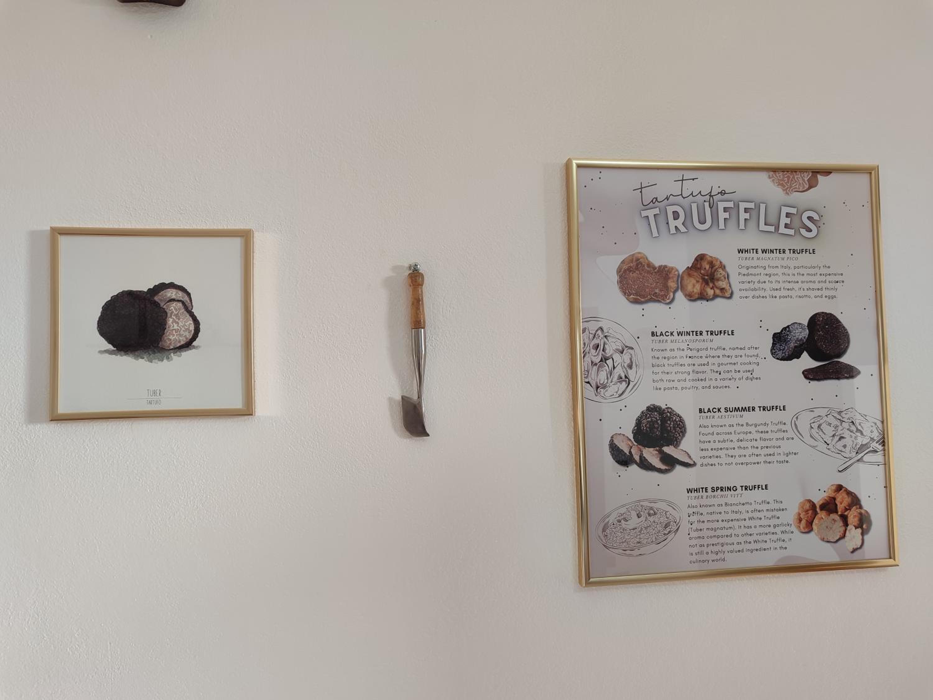 Villa Gaia Truffle Experience