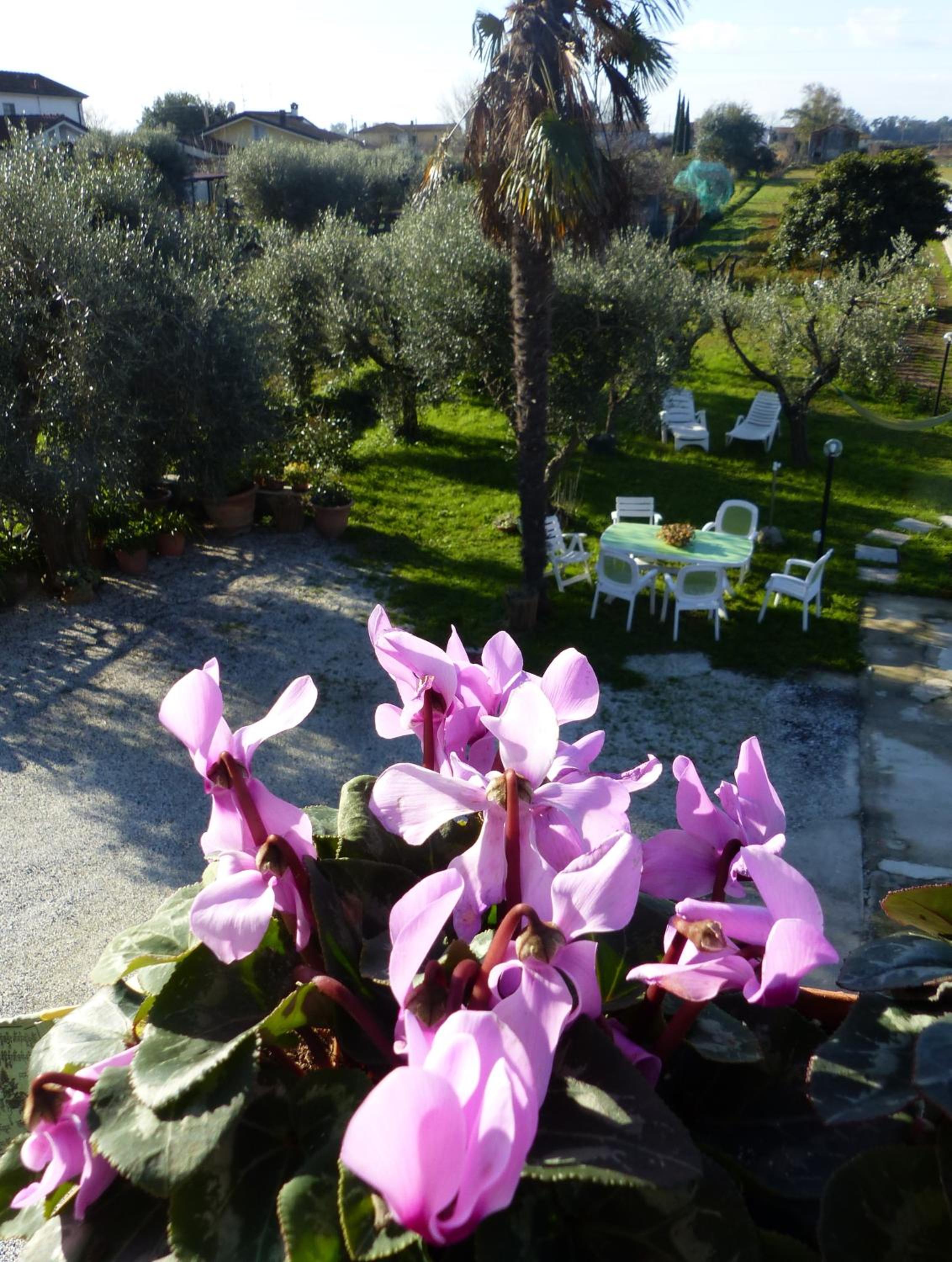 La casa di Silvia view 3