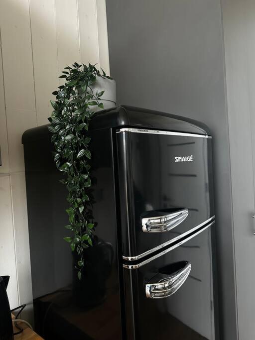 Modernūs apartamentai Svencelėje