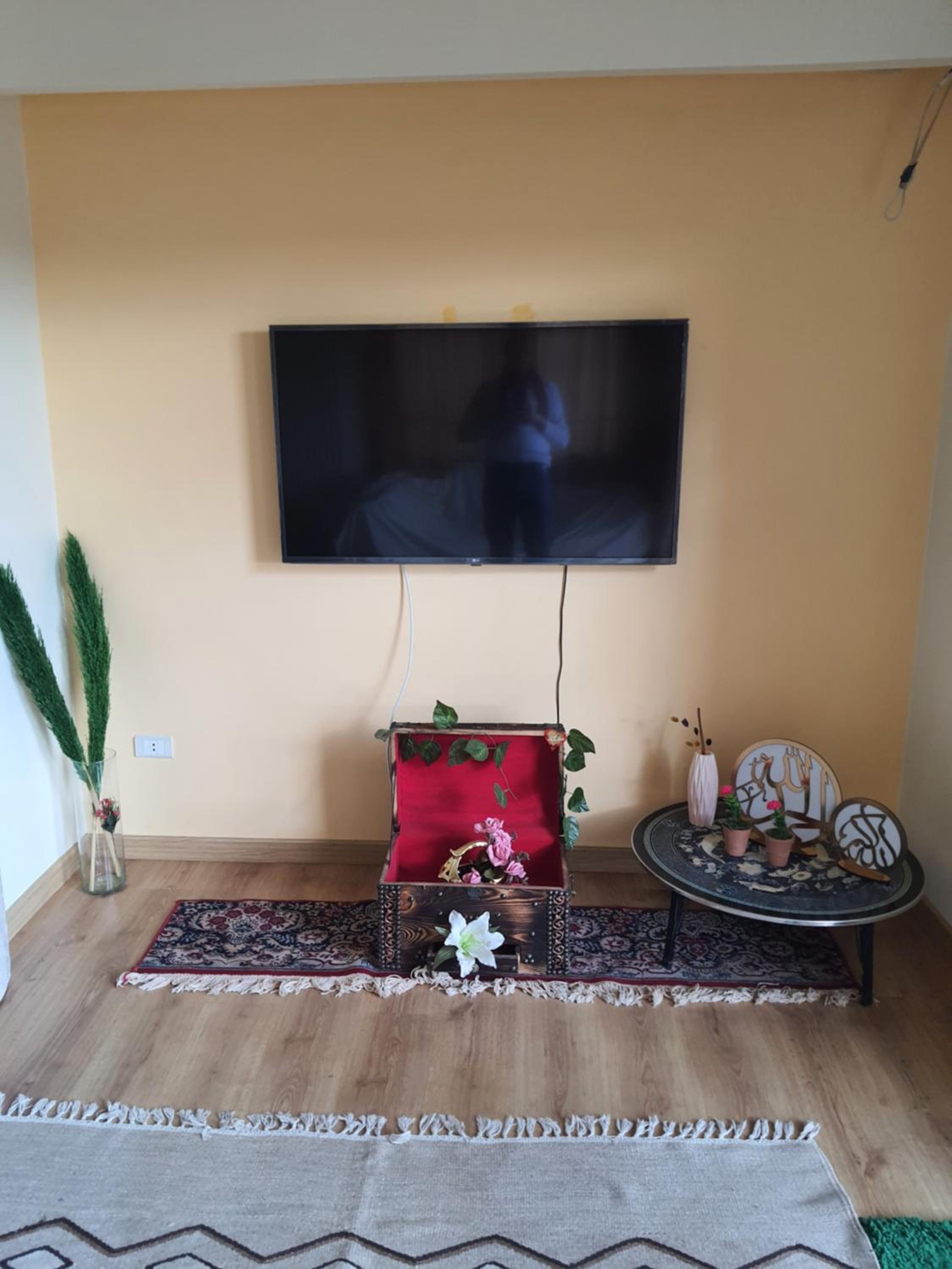 ZED PARK VIEW Top Roof Apartment Sheikh Zayed