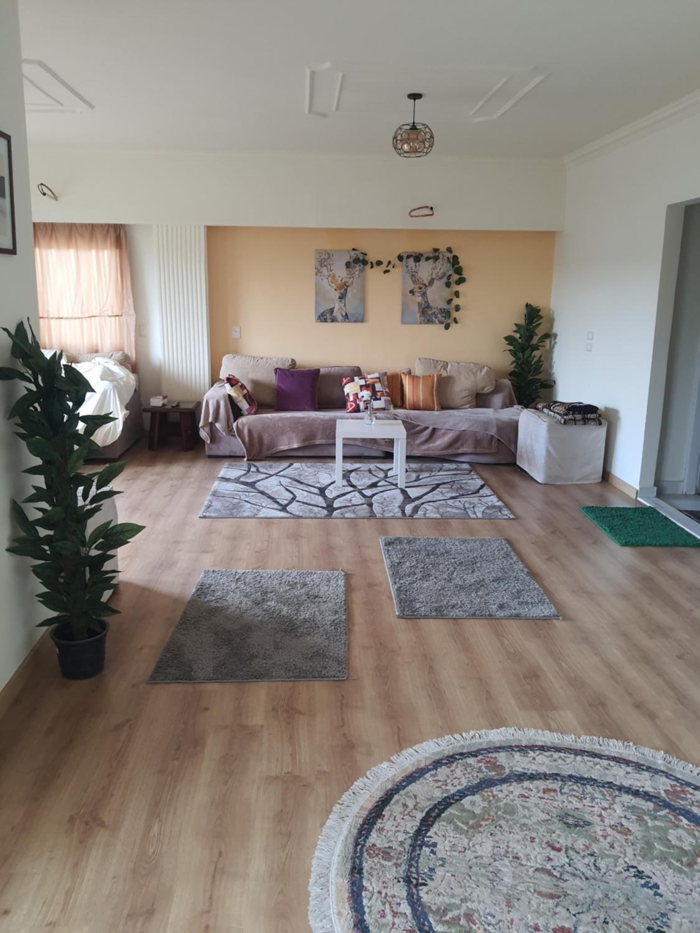 ZED PARK VIEW Top Roof Apartment Sheikh Zayed