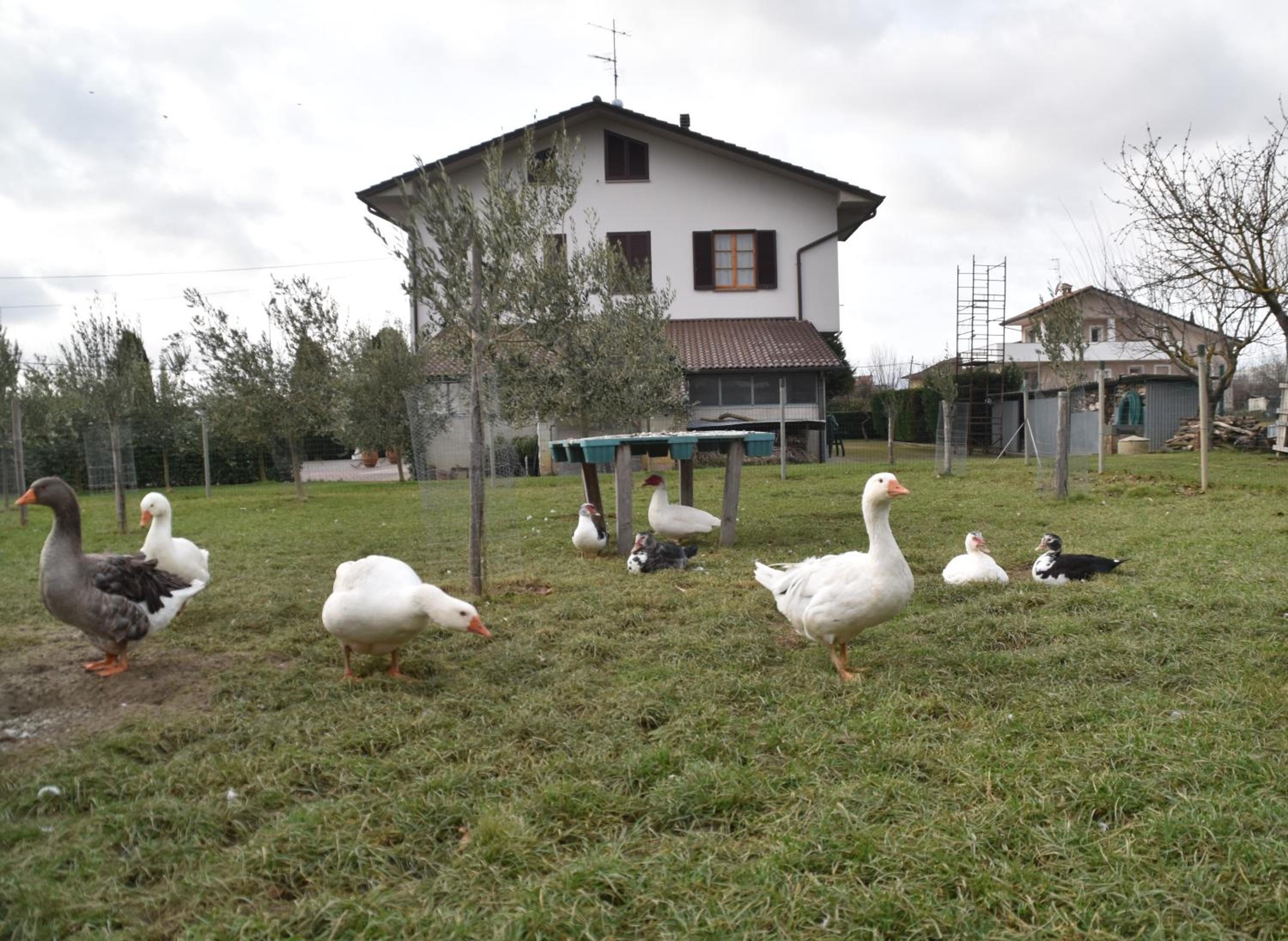 Villa Gaia Truffle Experience