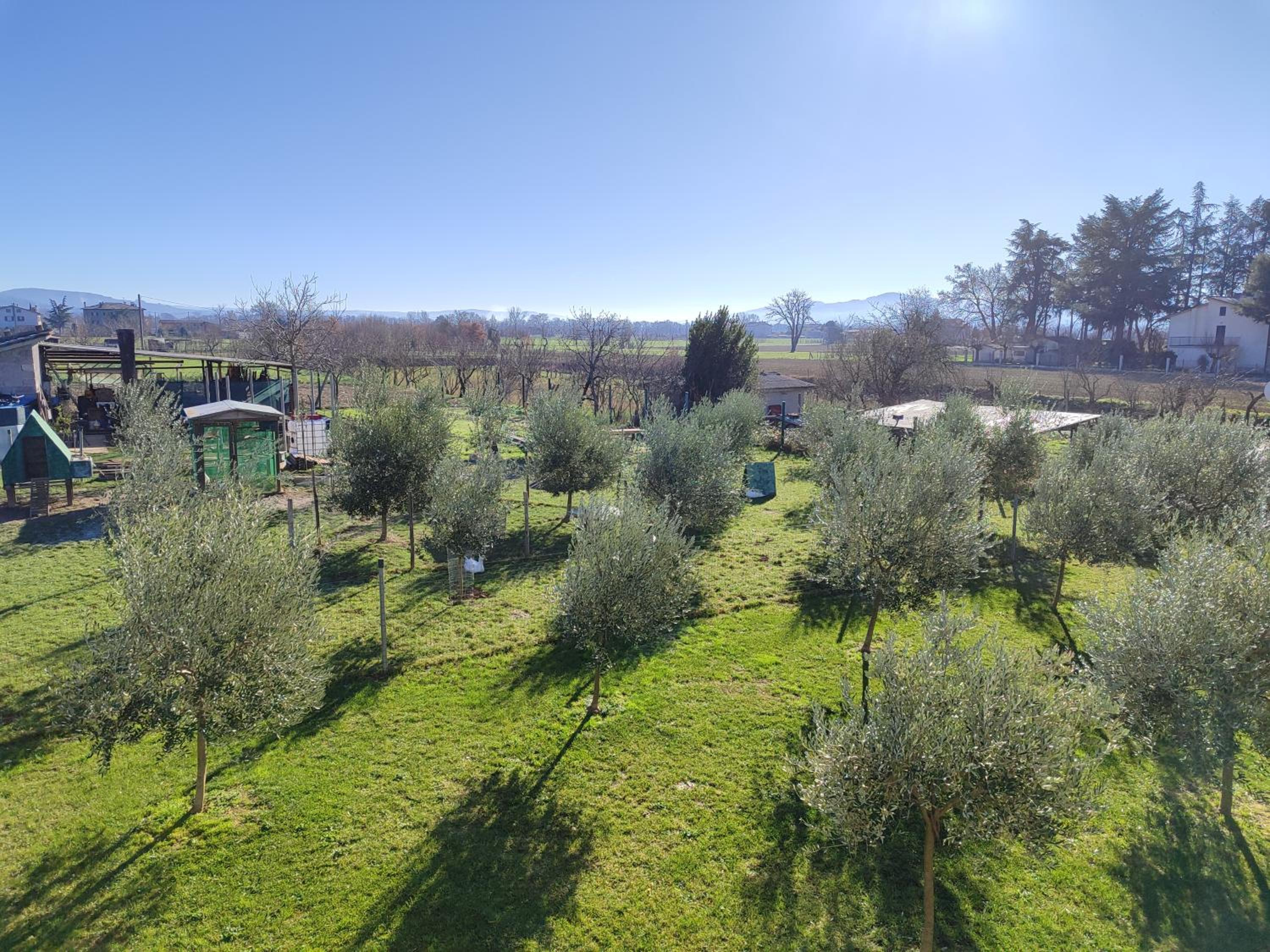Villa Gaia Truffle Experience