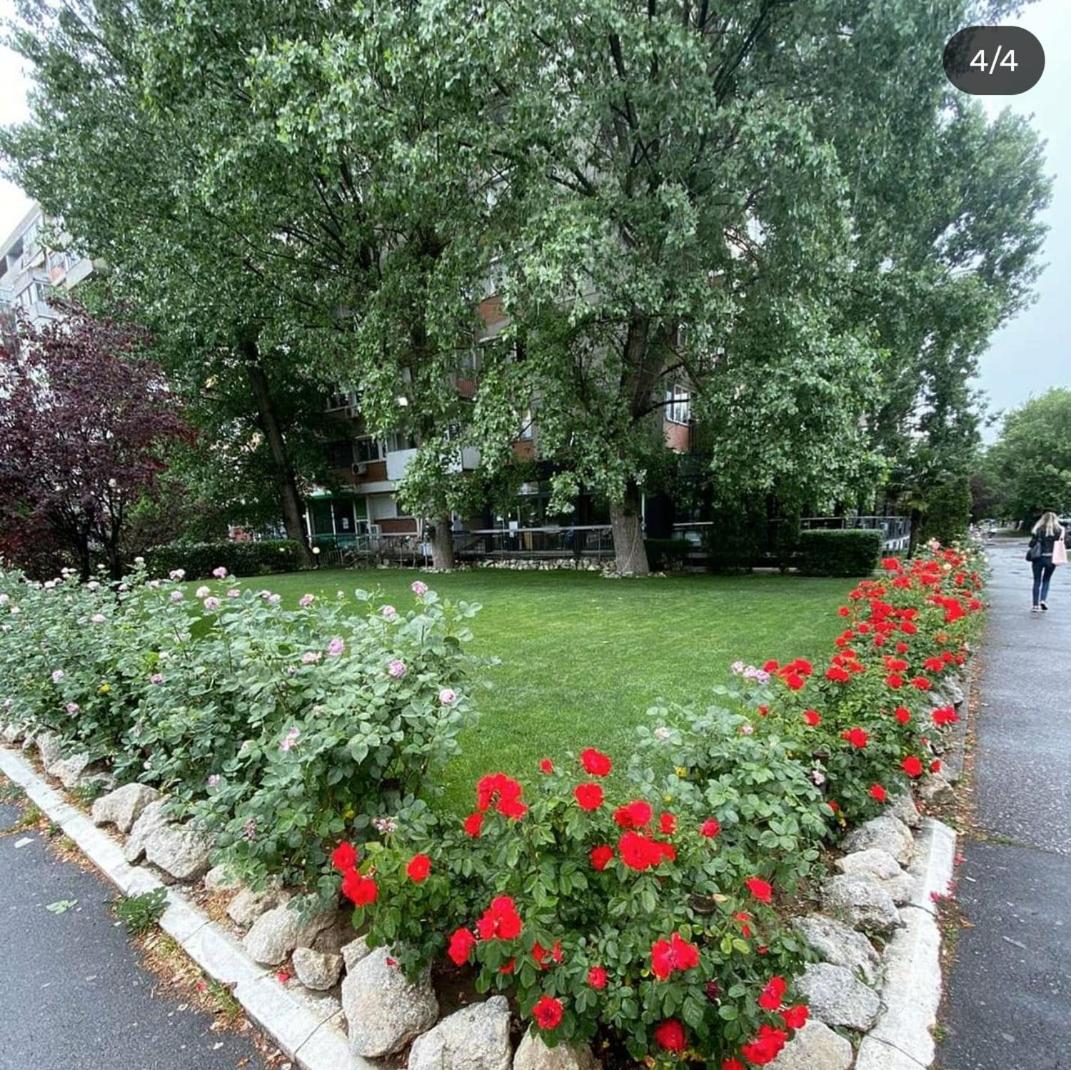 Photo 23
