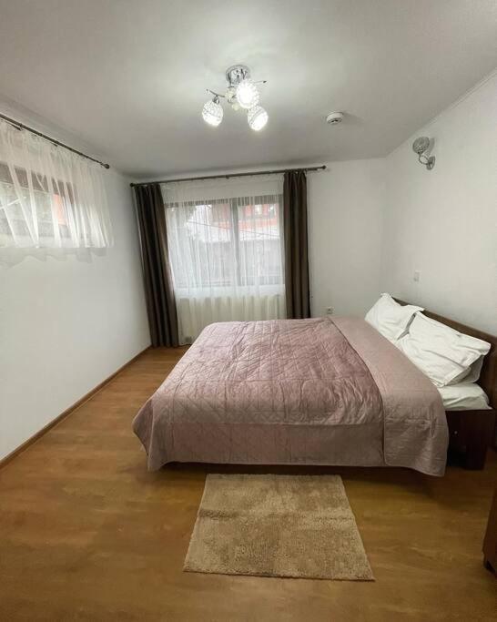 Coco Home Bușteni view 2