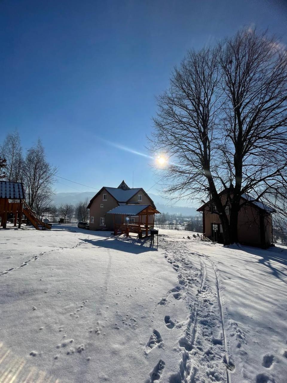 Photo 24