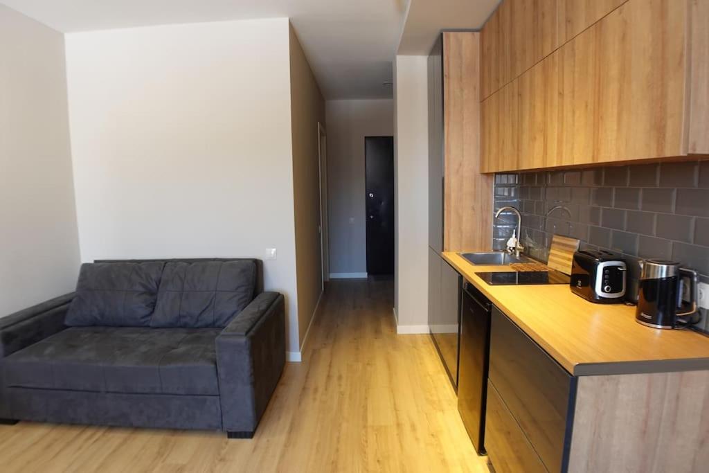 Roshka Apartment 108 view 4