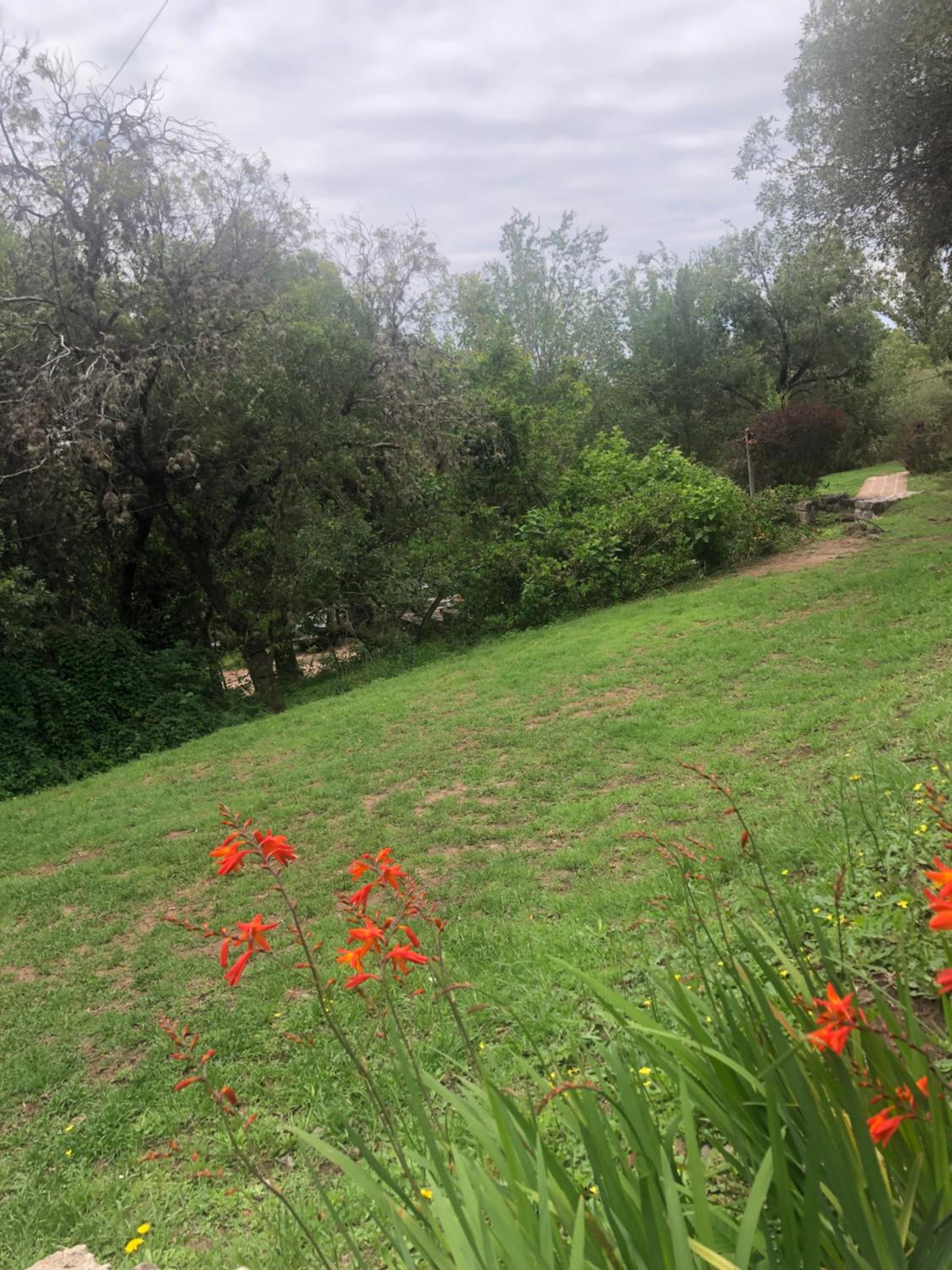 Casita Curanto