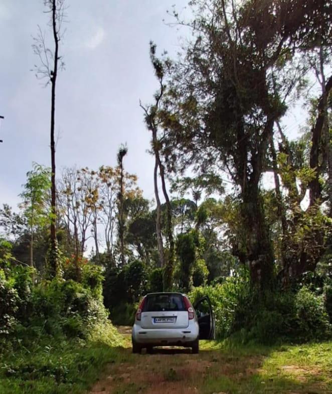 Coorg Homestays Madikeri view 2
