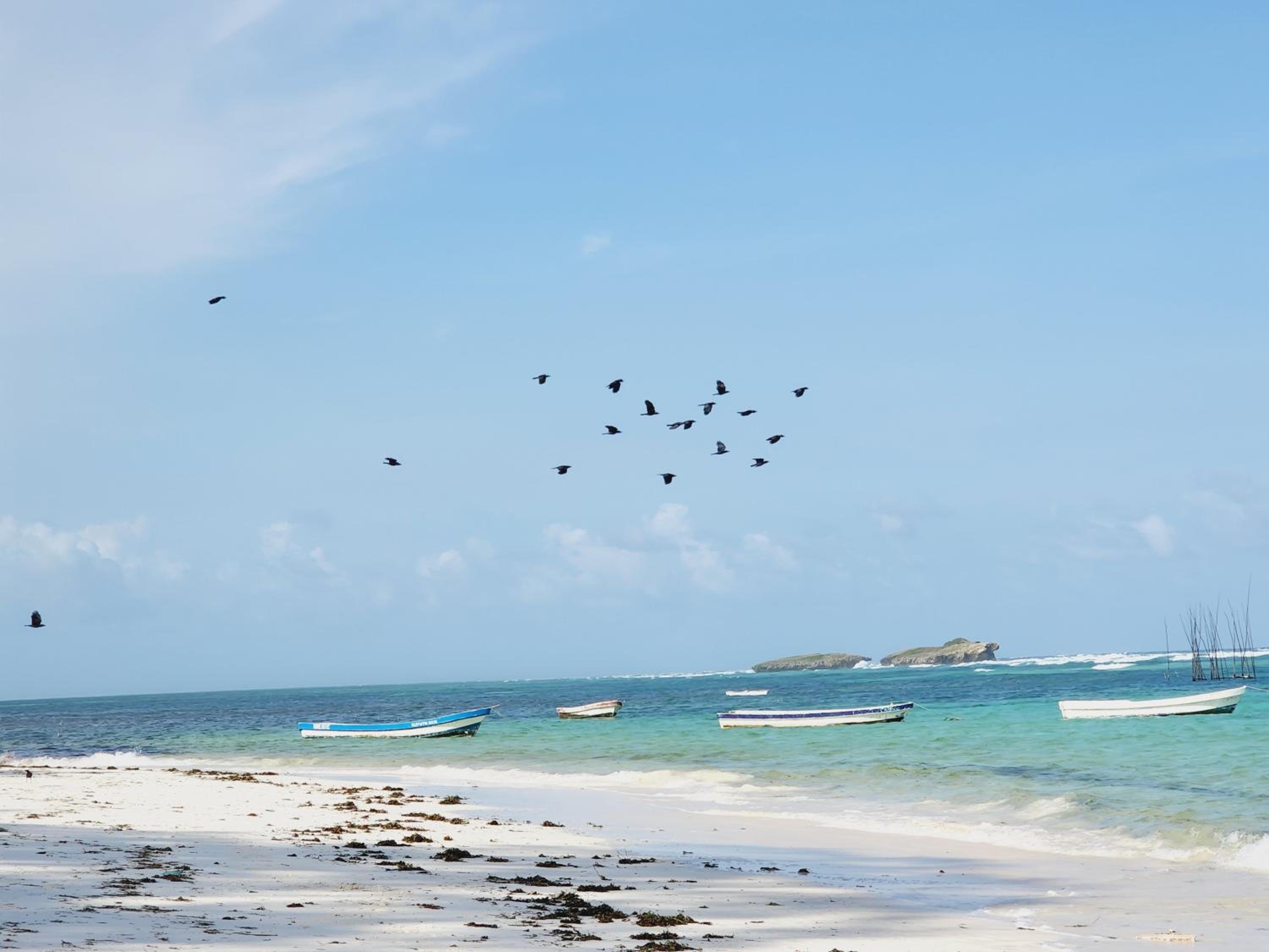 SeaRenity Homes 1 or 2 or 3 Bedroom Watamu
