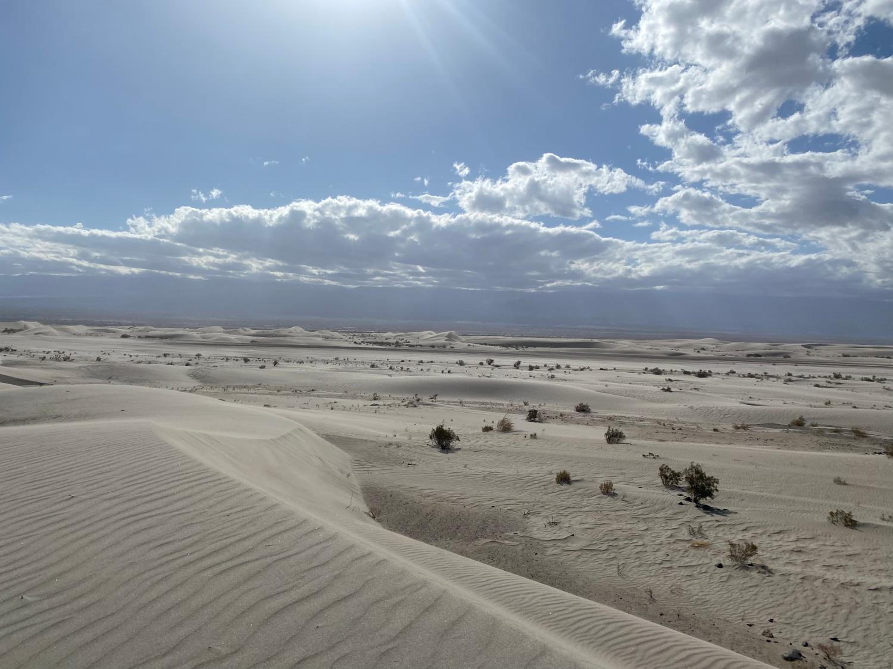 other