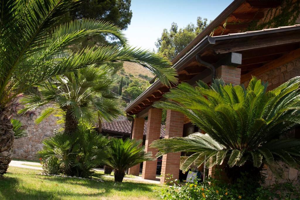 Photo 68