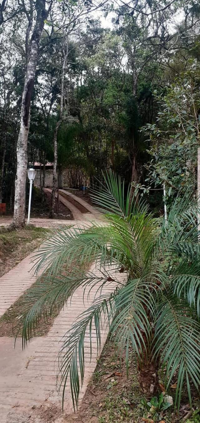 Sitio Terra Azul