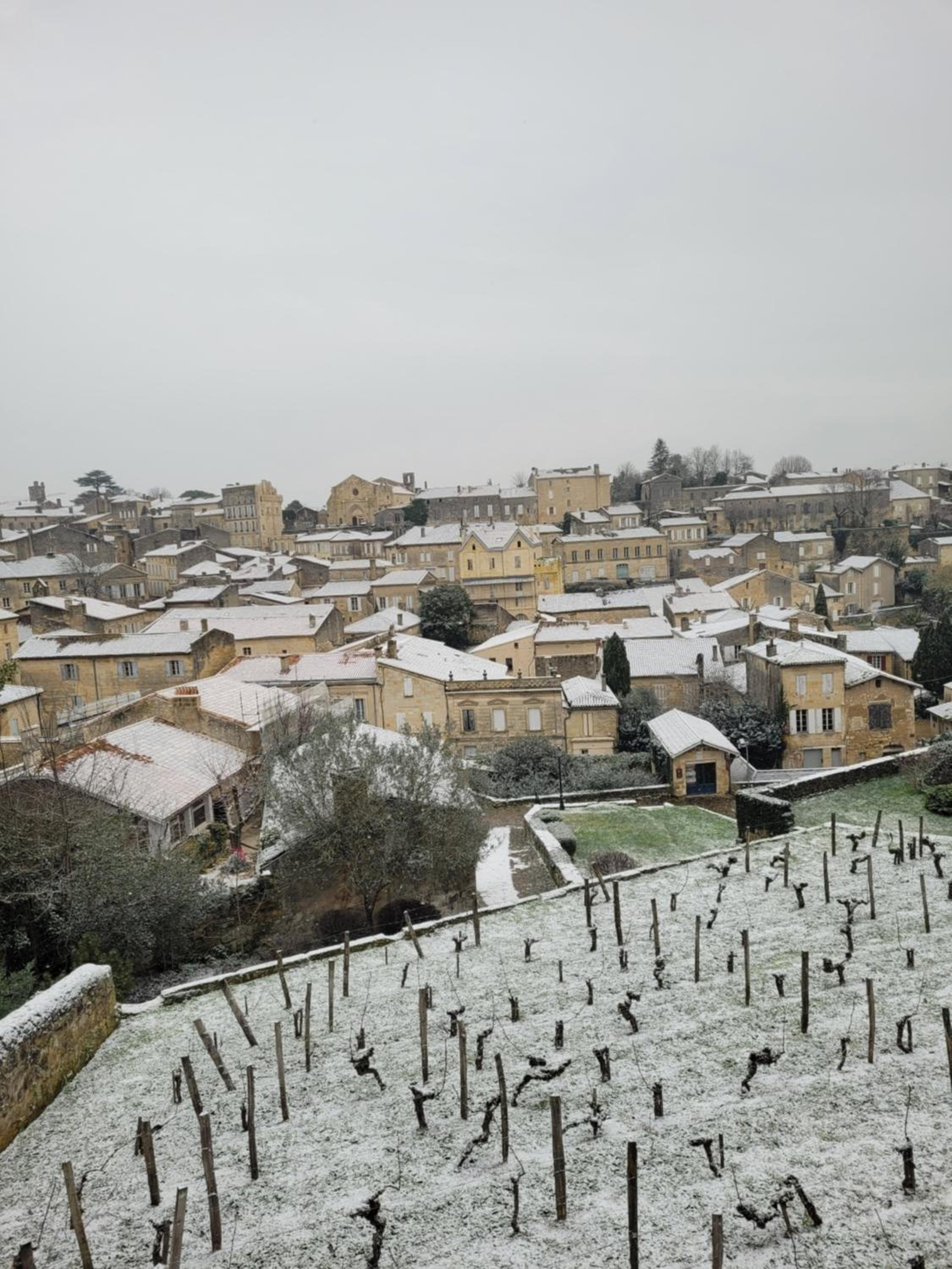La Maison Colline