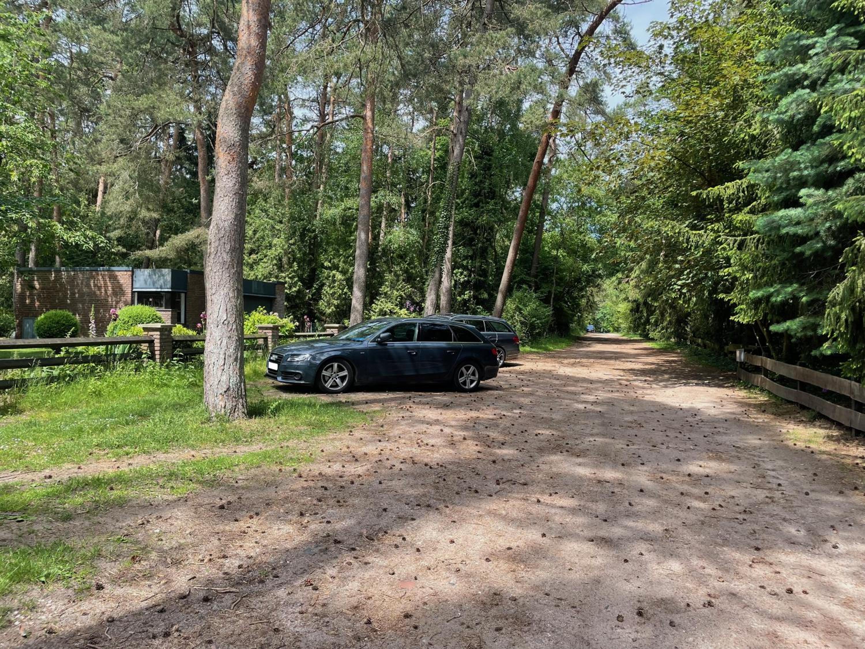 Little Paradise