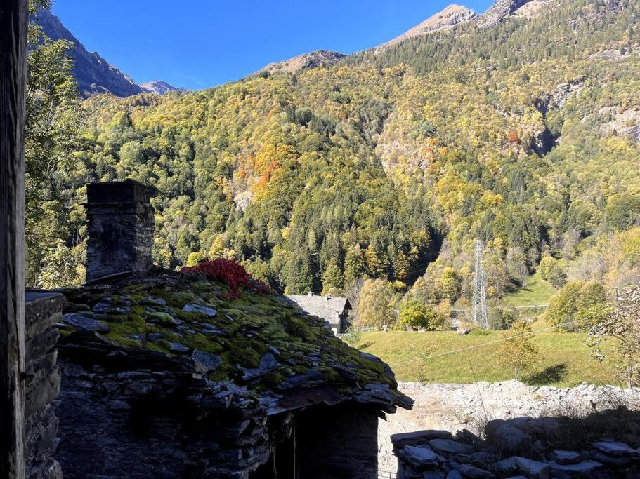 Alloggio in antica frazione Walser view 5
