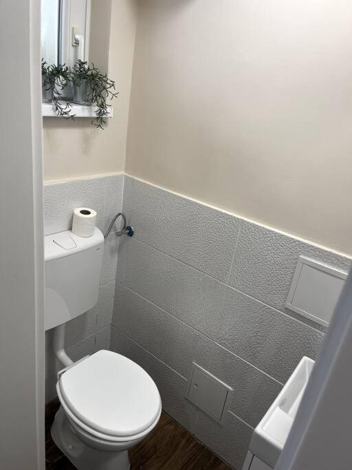 Apartment in Maribor