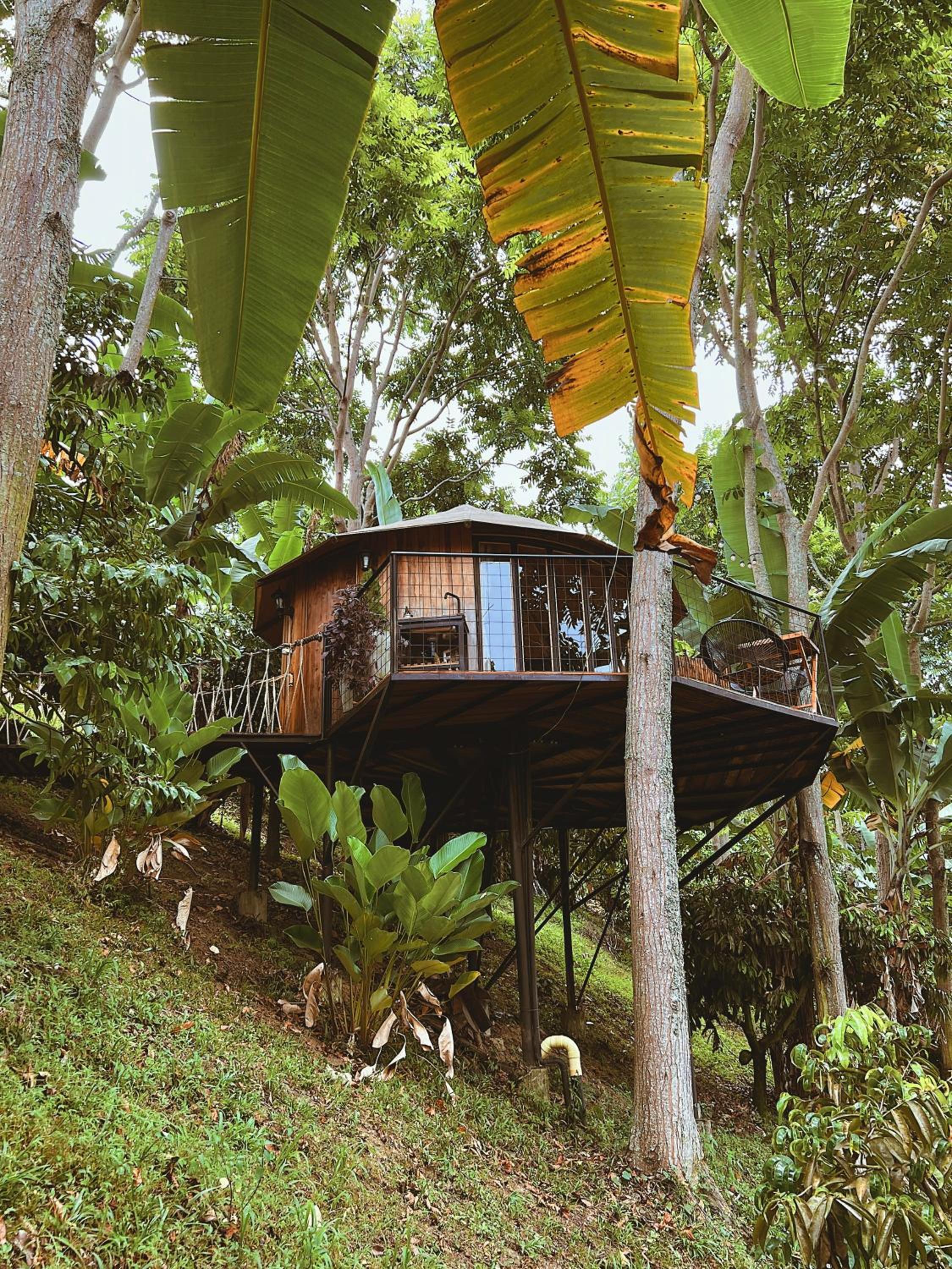 Paneo Glamping