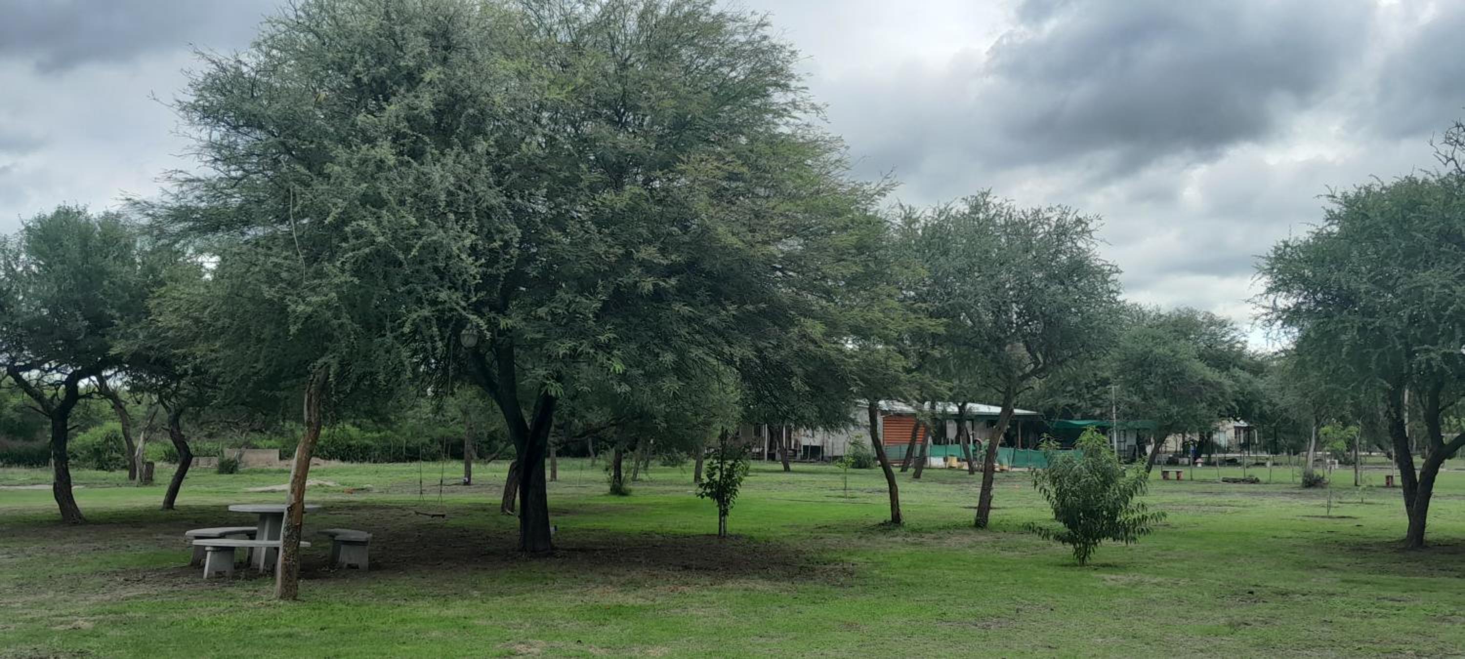 Finca LUZ