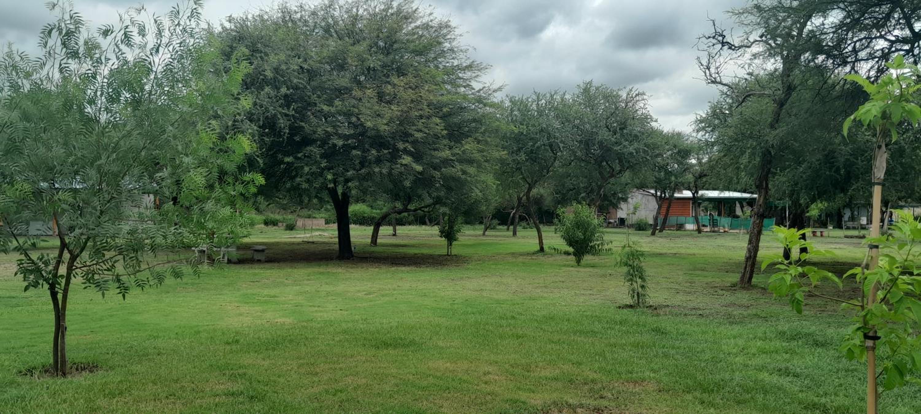 Finca LUZ