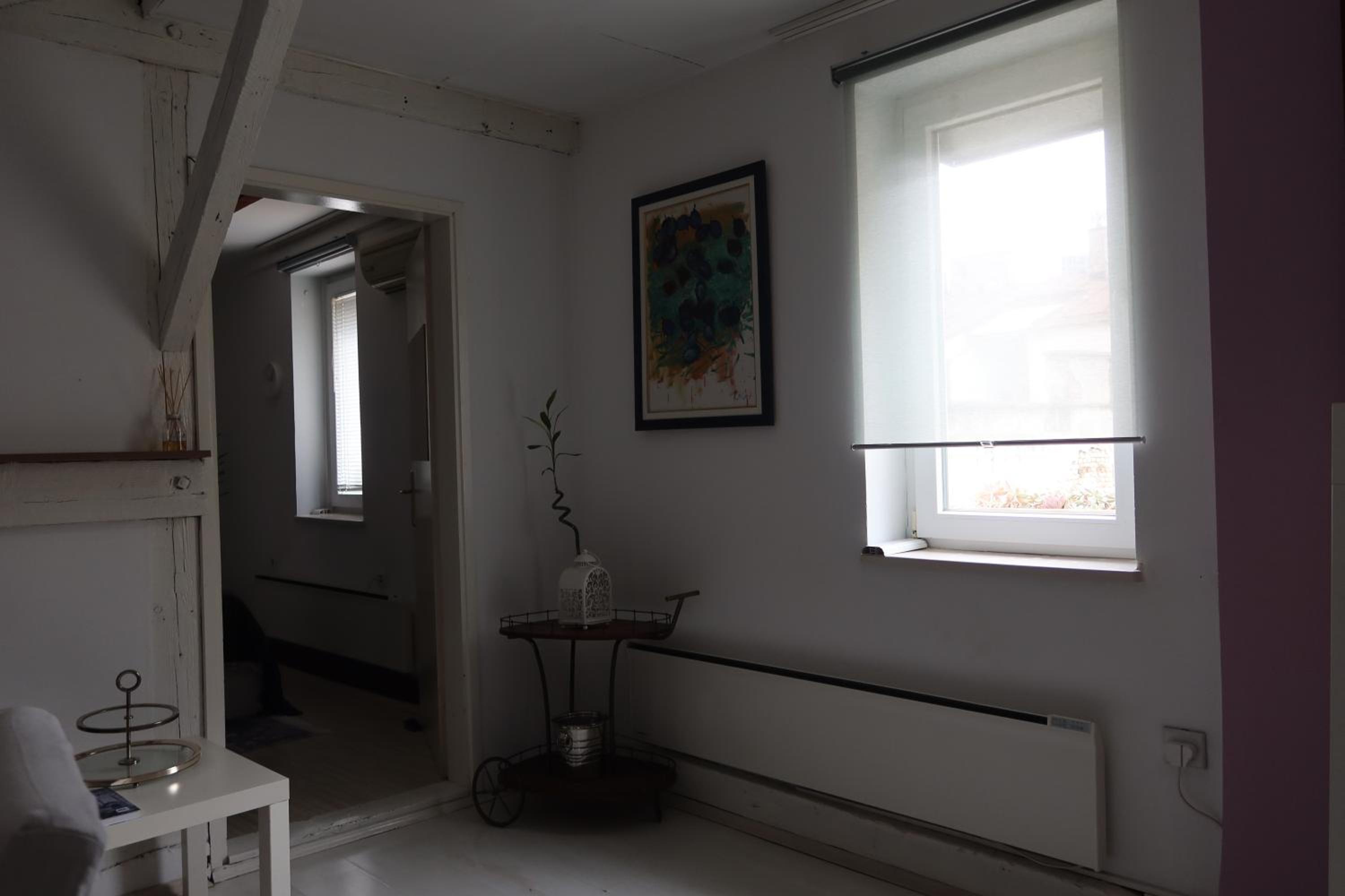 Apartment Mina