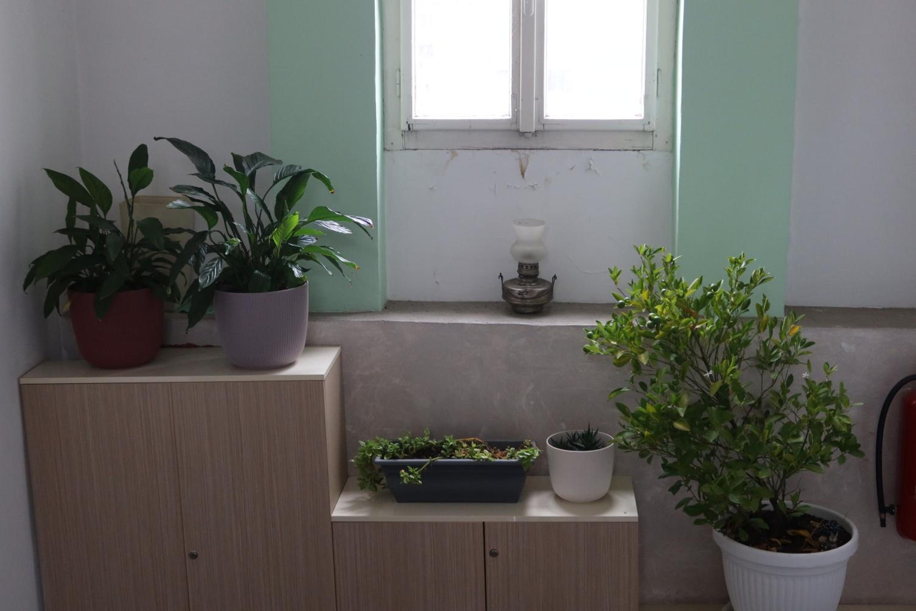 Apartment Mina