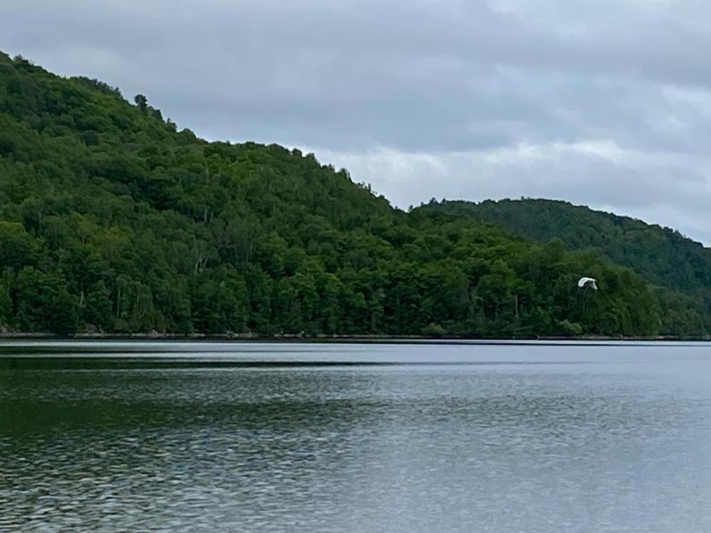 Lake side escape (log home)