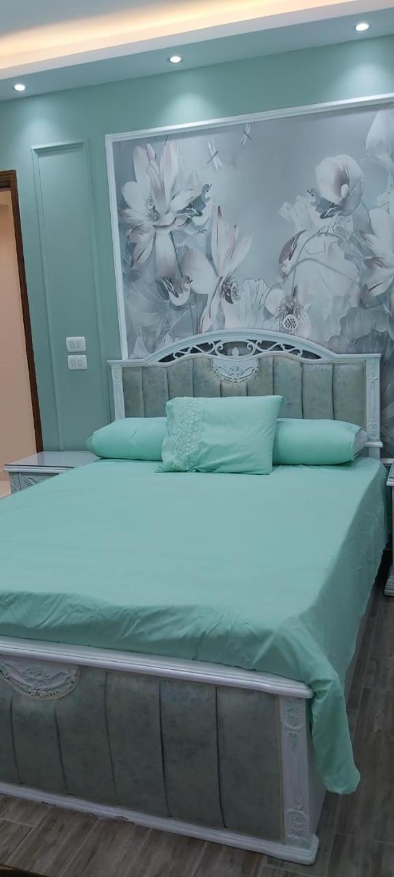furnished Apartment , Nile view