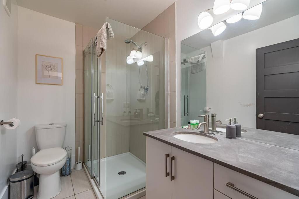 Gorgeous & Sunny Executive Suite #102