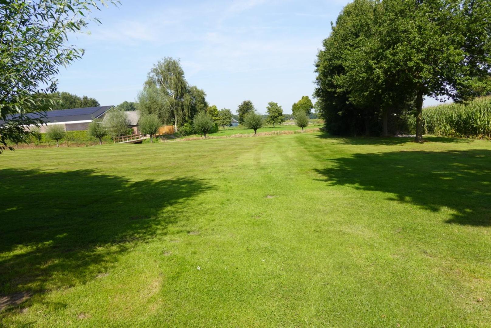 Photo 45