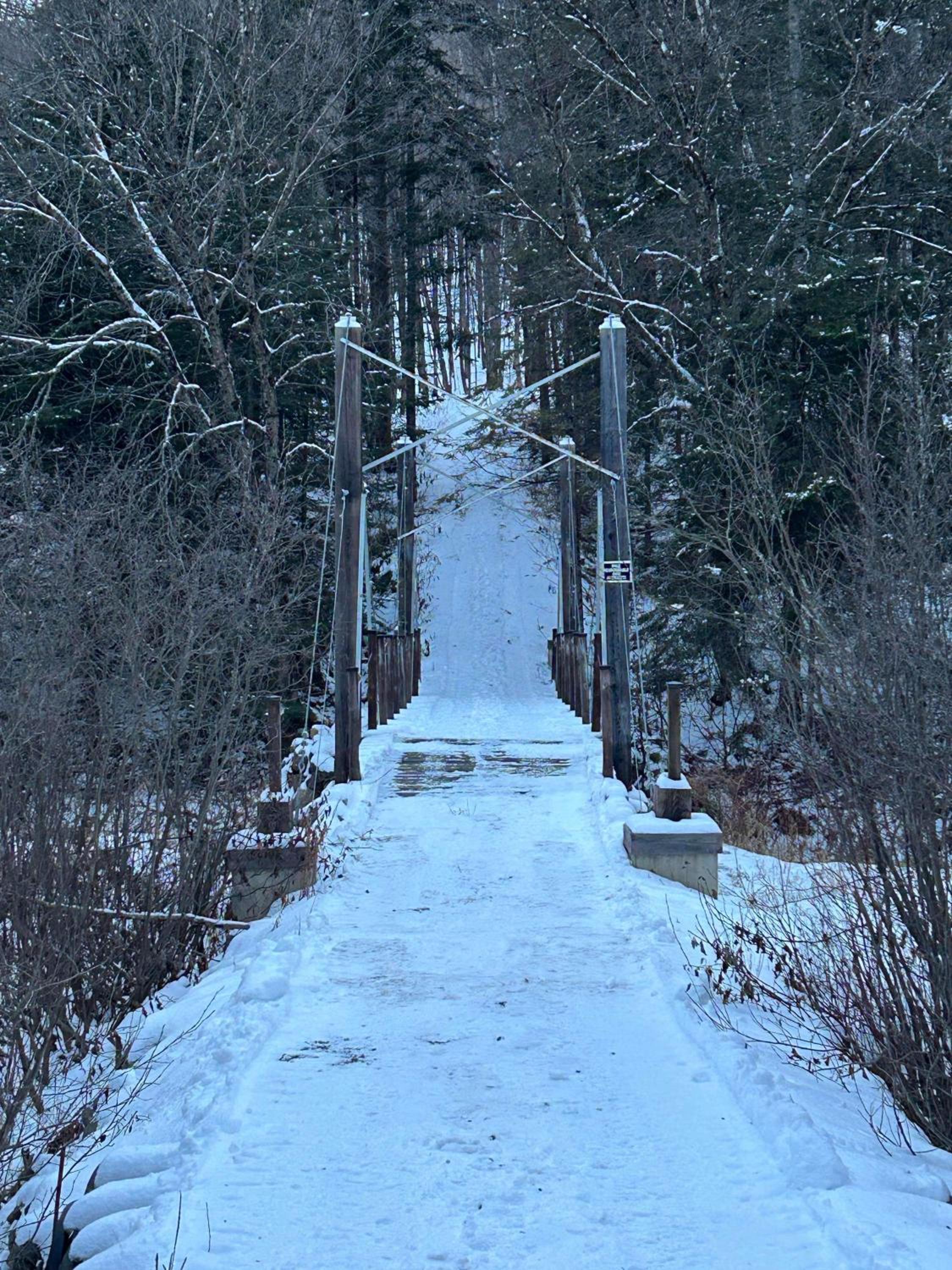 Chalet Alice à louer avec Spa Mauricie