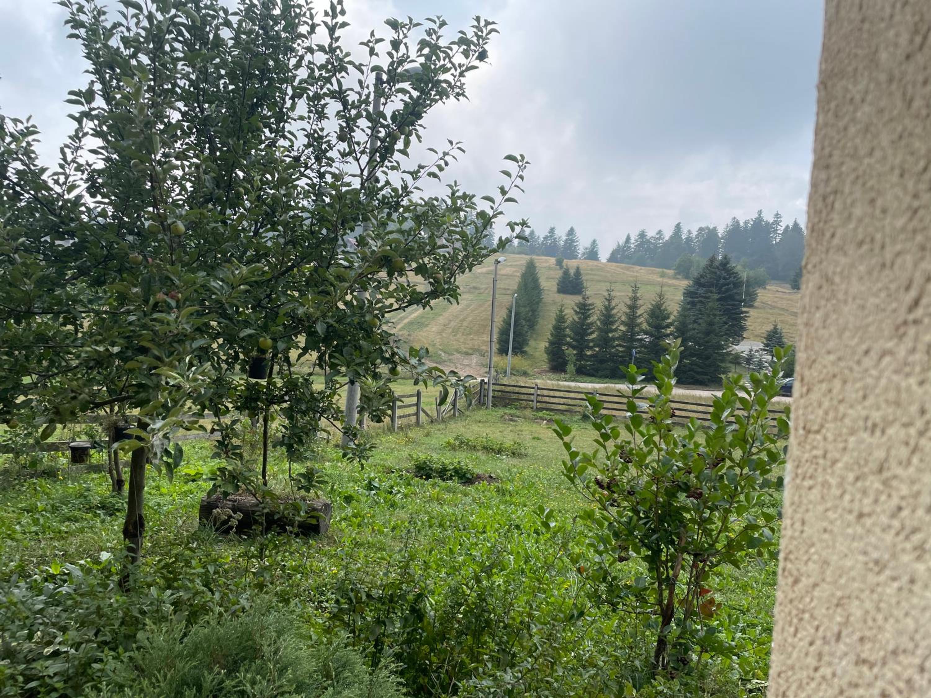 Vila Bjelopoljak - Ponijeri