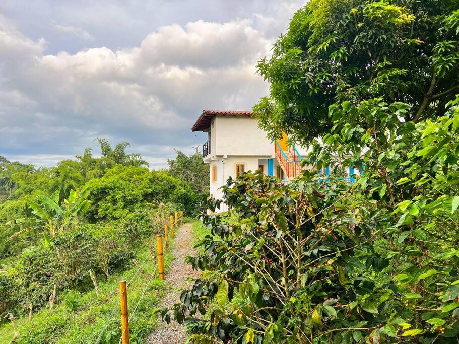 Finca Villa Sophia!