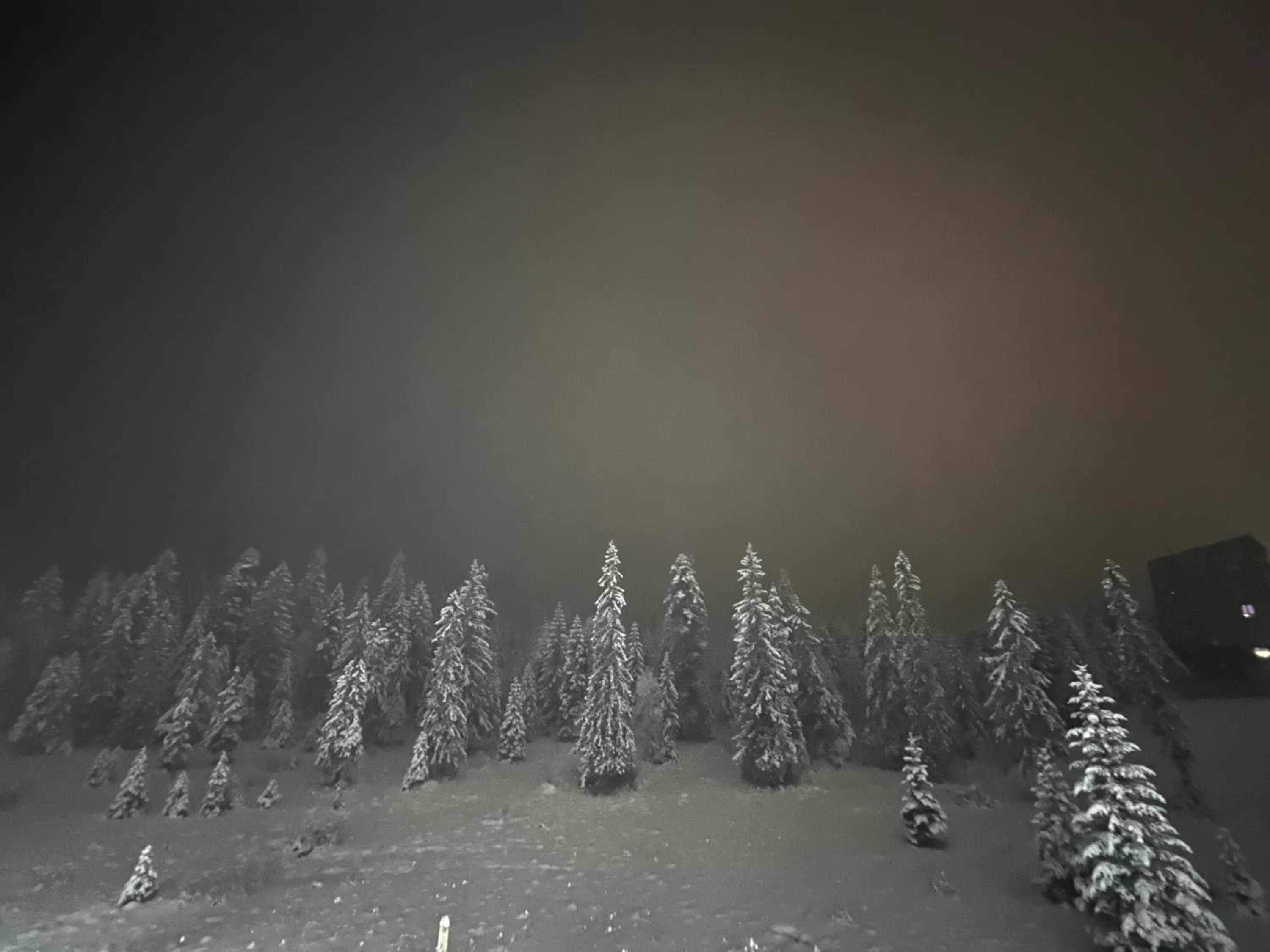 Winter Fairytale, ski in-ski out posebna ponuda!