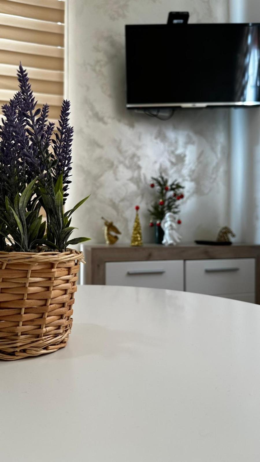 Apartman ZLATNIK ZLATIBOR view 2