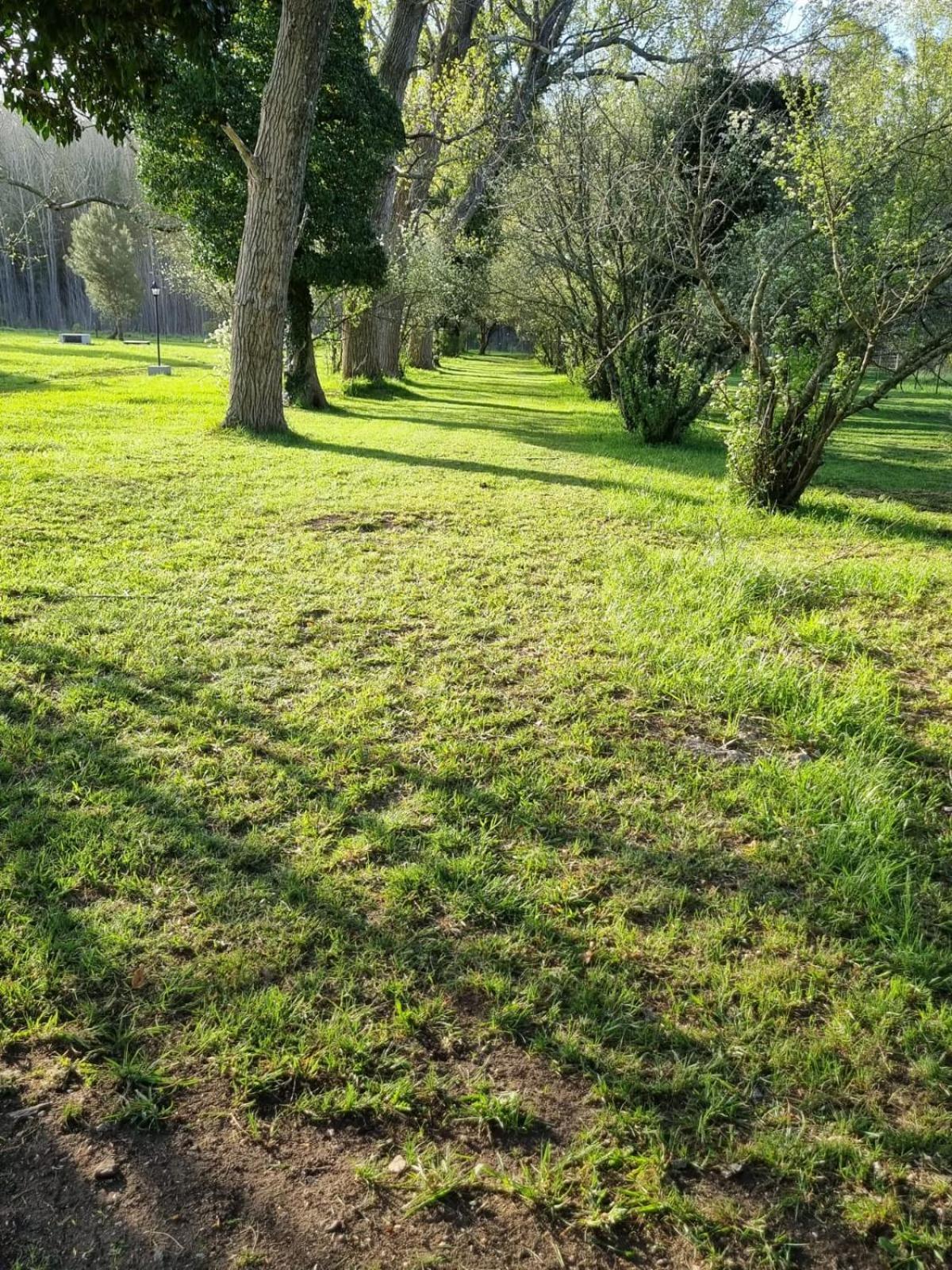 Cabañas El Rincon