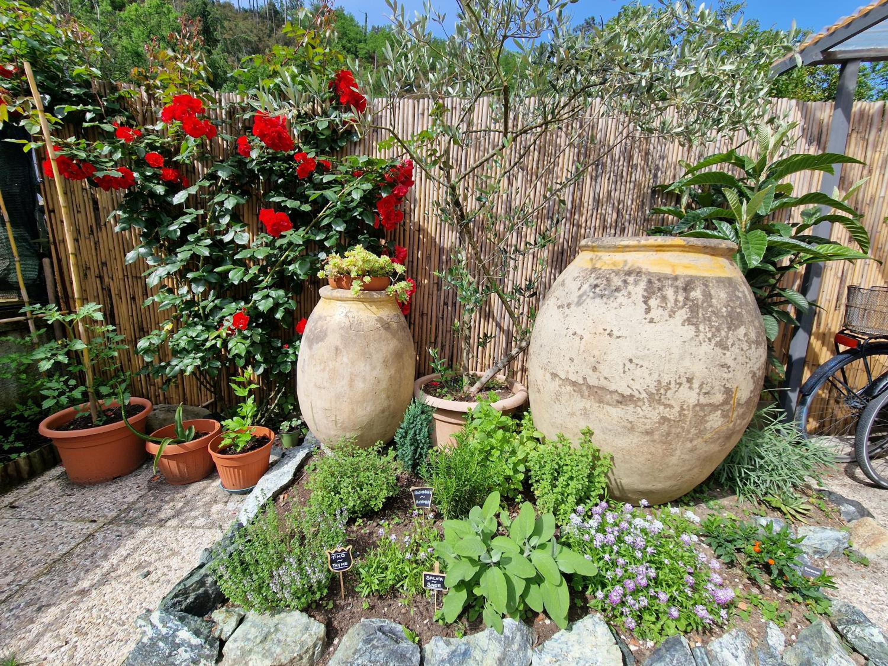 Photo 45