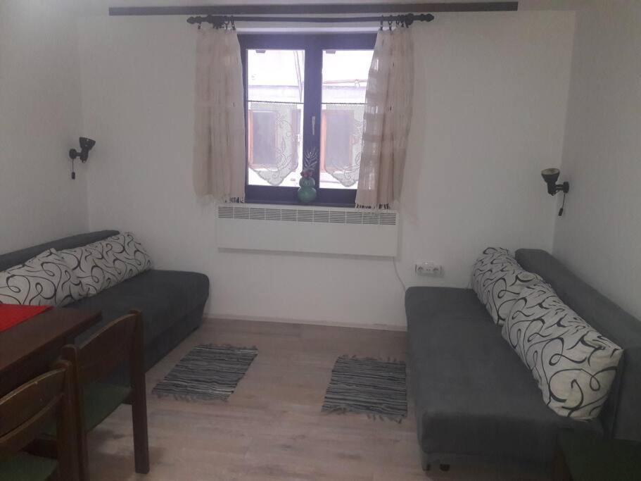 Apartman Ema,Bela Reka,Brzece view 4